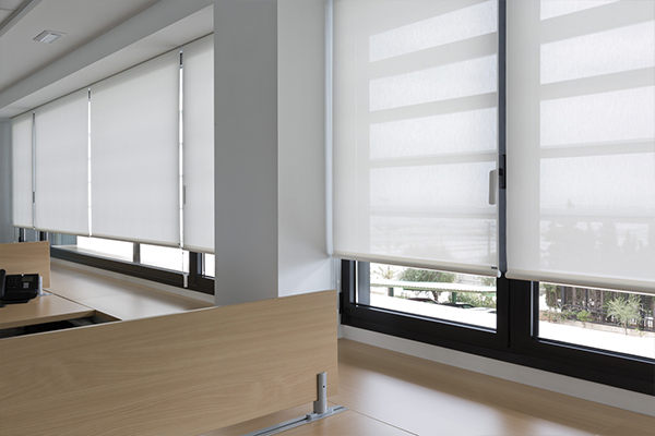 Cortinas Screen